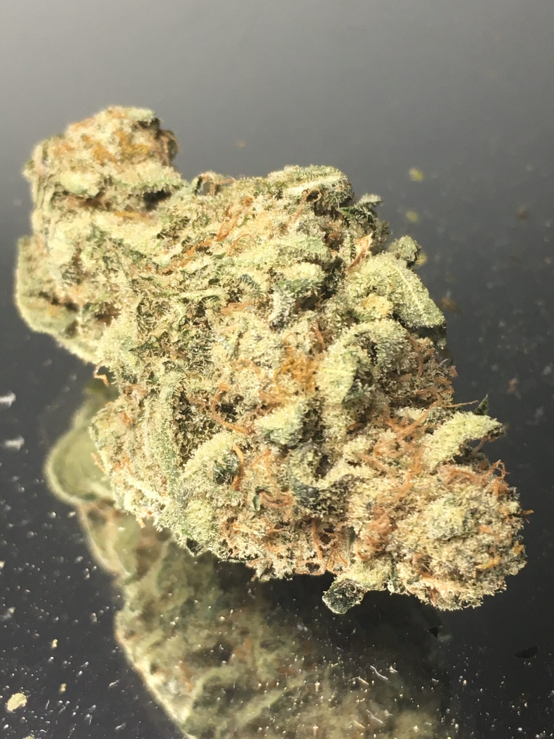 Mojo Melon